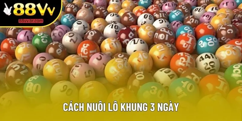 Cách Nuôi Lô Khung 3 Ngày Vô Cùng Hiệu Quả Tại 88VV