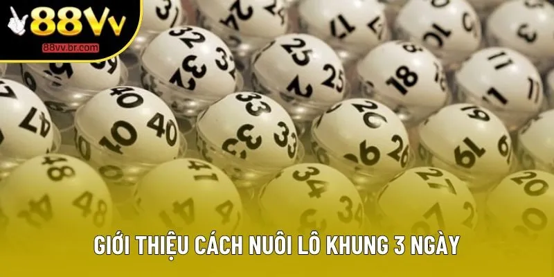 Giới thiệu cách nuôi lô khung 3 ngày Giới thiệu cách nuôi lô khung 3 ngày
