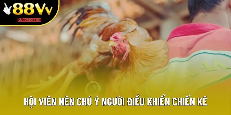 Hội viên nên chú ý người điều khiển chiến kê
