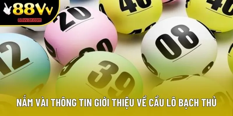Nắm vài thông tin giới thiệu về cầu lô bạch thủ